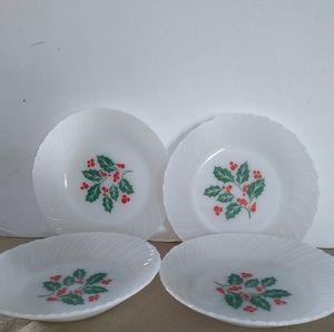 Termocrisa 4 Soup Salad Plates